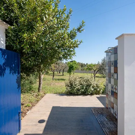 Il Vecchio Leccio マルティナ・フランカ